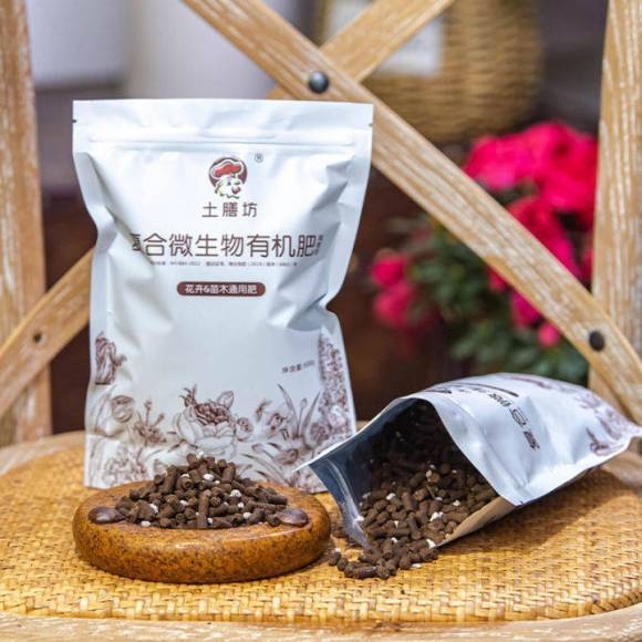 金粟蘭的花語，養(yǎng)殖金粟蘭的方法及注意事項